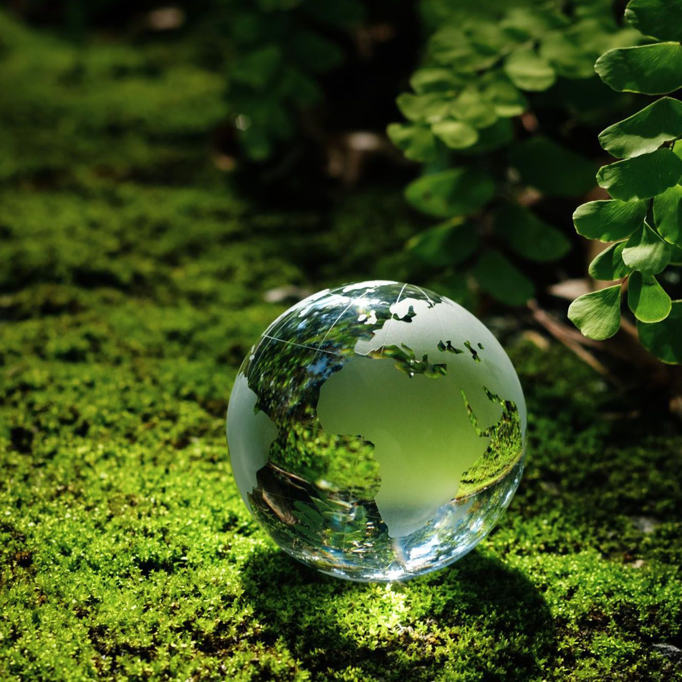 Découvrir l'hotel Ibis Budget Cholet