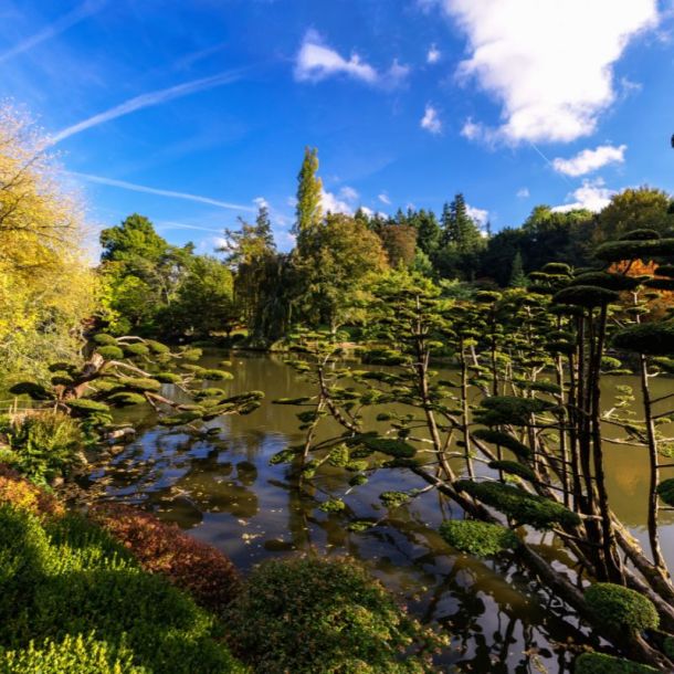 Parc Oriental de Maulévrier